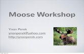 Moose workshop