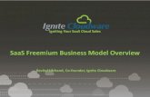 Ignite cloudware - SaaS freemium business model overview