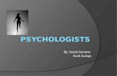 Psychologist Career