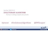 Evolutionary Algorithms: The Key to Solving Complex Java Puzzles
