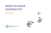 What Do Agile Leaders Do