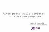 Agile for fixed price projects