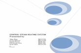 Central steam heating system report