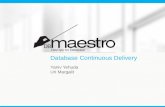 Database continuous delivery