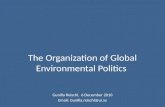 Kopia av the organisation of global environmental politics 6 dec 2010