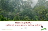 REDD+ National strategy and policy options