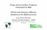 Xingu social carbon program red potential ipam flavia gabriela franca