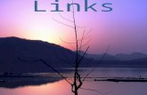 Daybreak At The Man Sagar Lake Featuring Some Links