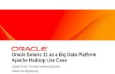 Oracle Solaris 11 as a BIG Data Platform Apache Hadoop Use Case