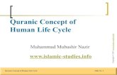 Quranic concept of human life cycle