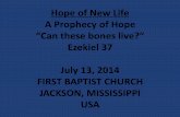 07 July 13, 2014, Ezekiel 37, Hope - Can These Bones Live