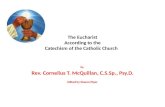 The Eucharist - A Short Course for Catechists