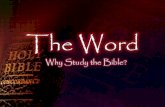The Word - Why Study The Bible