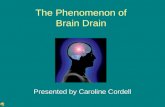Brain drain by Caroline Cordell