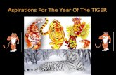 Aspirations For The Year Of The Tiger