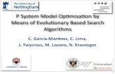 P Systems Model Optimisation by Means of Evolutionary Based Search Algorithms