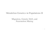 Chapter 6 – Mendelian Genetics in Populations II