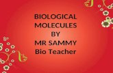 Ppt on bio molecules 2013 #2