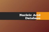 Nucleic acid database