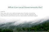 8 What local governments can do