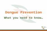 Dengue Prevention