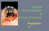 Dengue clinical features