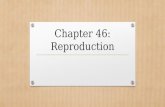 Chapter 46:Reproduction