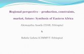 Regional perspective - Eastern Africa: production, constraints, market, future