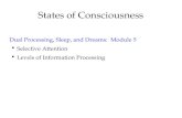 Mod 5 dual processing, sleep, & dreams