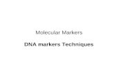 15 molecular markers techniques