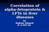 Correlation Of Alpha Fetoprotein & Lf Ts In Liver