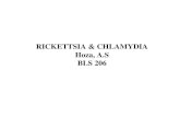 Rickettsia & chlamydia bls 206