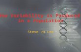 4 Genetics - How variability is produced in a population