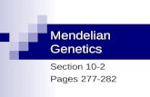 10.2 mendelian genetics