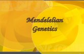 Mendelian genetics powerpoint massengale
