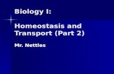 Homeostasis and transport (part 2)