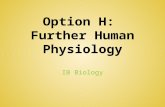IB Option H Further Human Physiology PPT