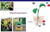 Chapter 37 - Soil and Plant Nutrition