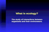 Ecology Part 1 11-12