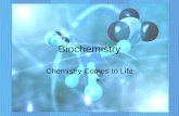 Chapter2 biochemistry