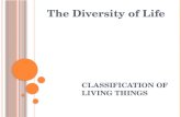 Classification of living things r1