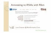 Annotating nc-RNAs with Rfam