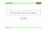 Vb tutorial-genome browser2010