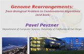 Guests 2011-10-04-pevzner-rearrangements