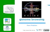 BITS: UCSC genome browser - Part 1