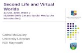 Second Life and Virtual Worlds
