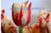 Loeffler endocarditis
