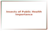 Insects of public health importance