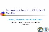 Pelvic genitals and groin