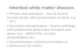 Inherited white matter diseases